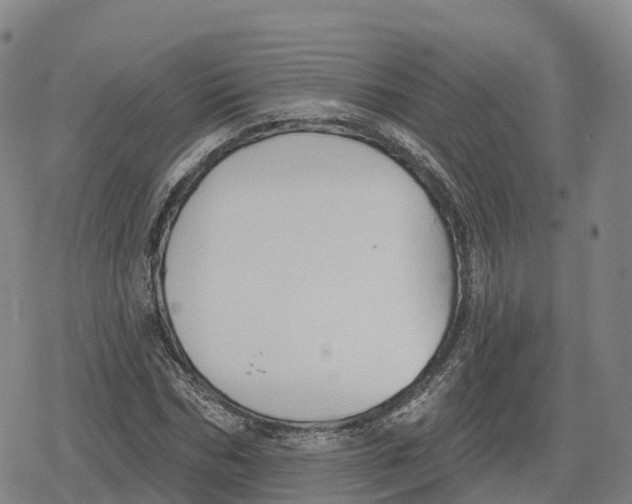 X0000079580970200612221426