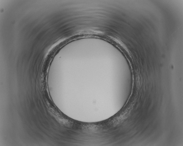 X0000079580971200612221426