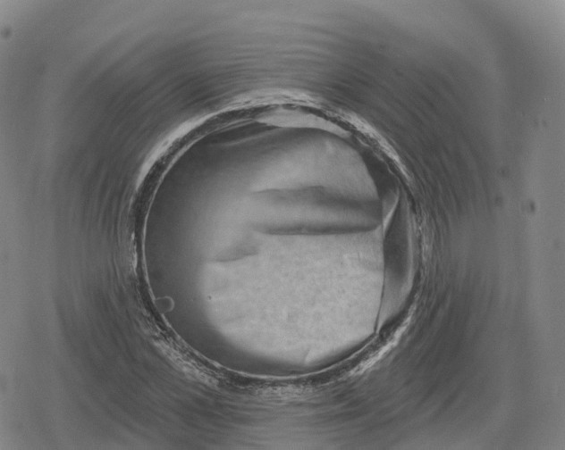 X0000079580973200612221426