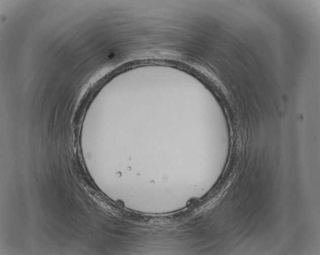 X0000079580974200612221426