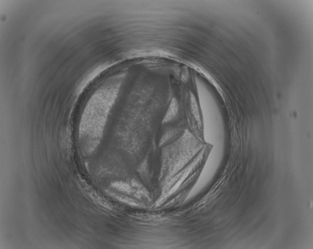 X0000079580975200612221426