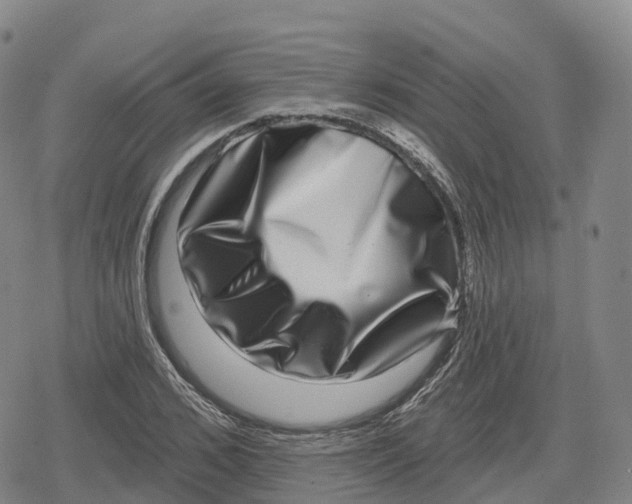 X0000079580976200612221426