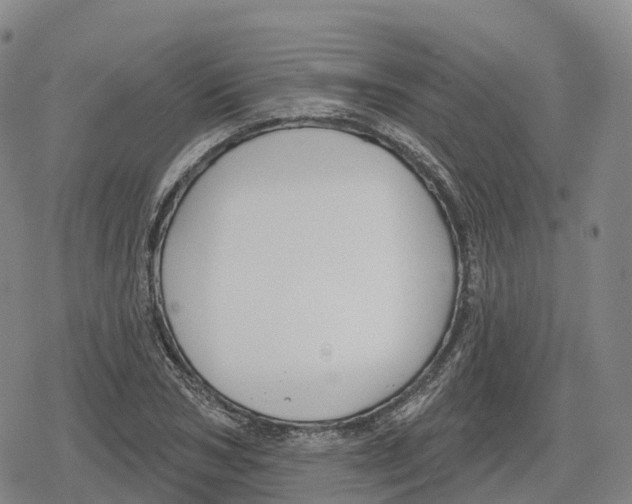 X0000079580978200612221426