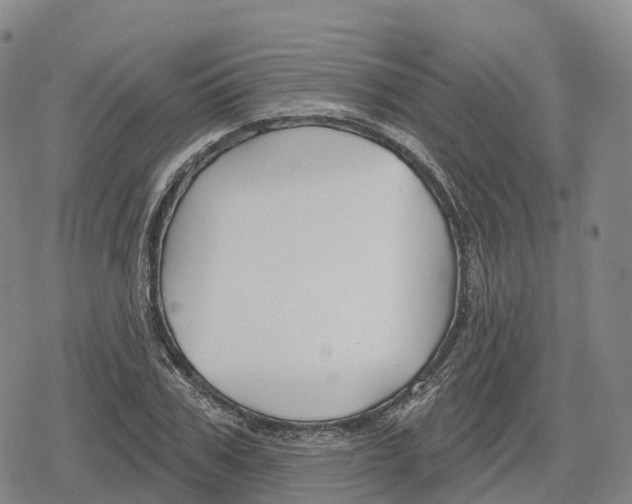 X0000079580979200612221426