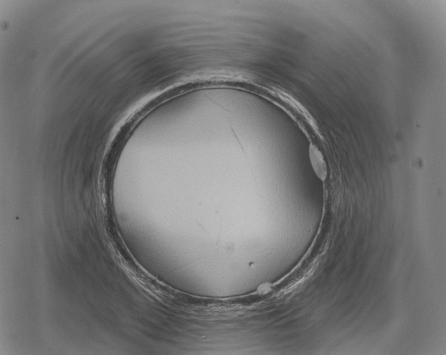 X0000079580981200612221426