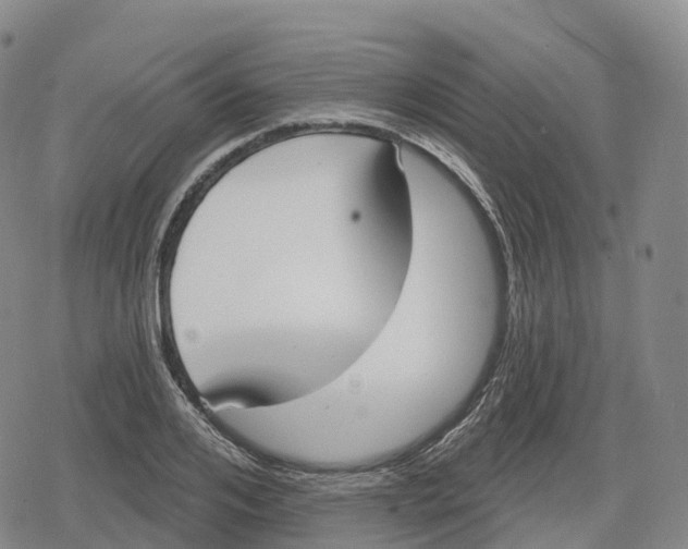 X0000079580984200612221426