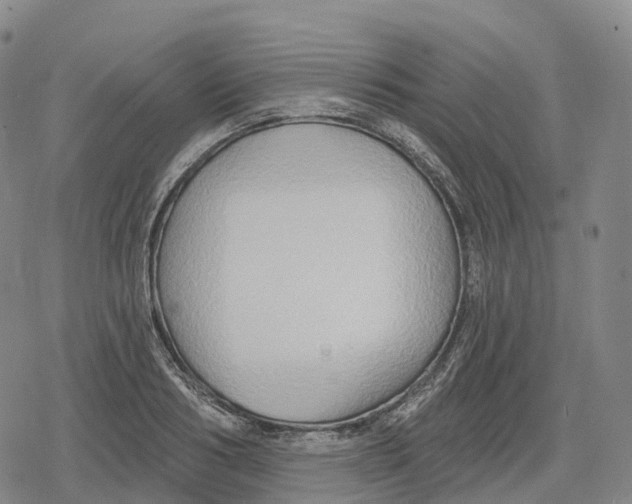 X0000079580986200612221426