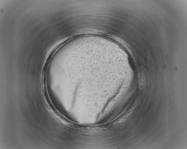 X0000079580987200612221426