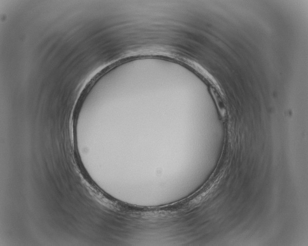 X0000079580988200612221426