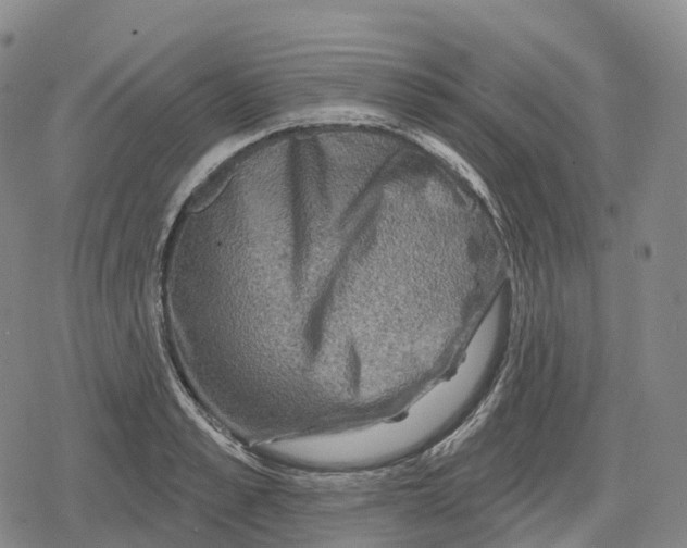 X0000079580989200612221426