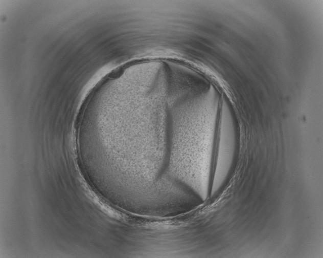 X0000079580990200612221426