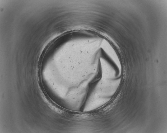 X0000079580991200612221426