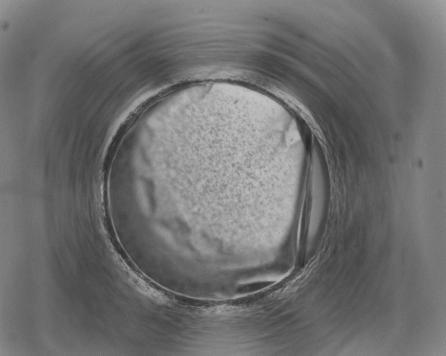 X0000079580992200612221426