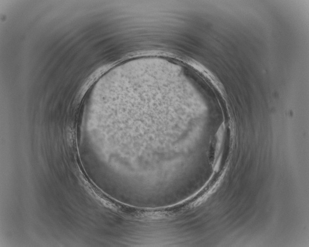 X0000079580993200612221426