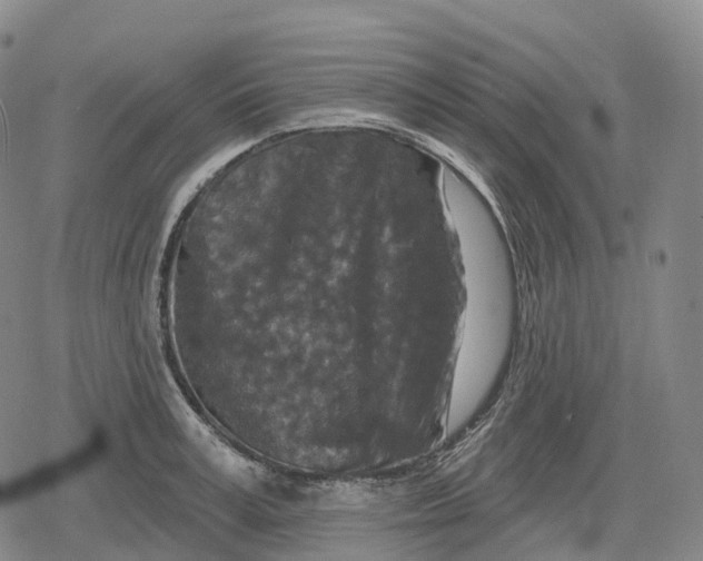 X0000079580995200612221426