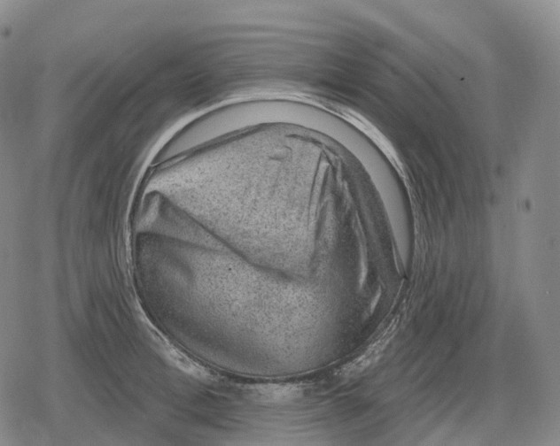 X0000079580996200612221426