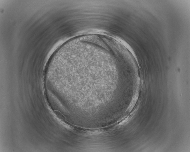 X0000079580997200612221426