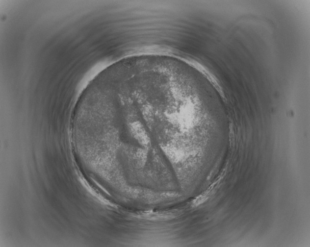 X0000079580998200612221426