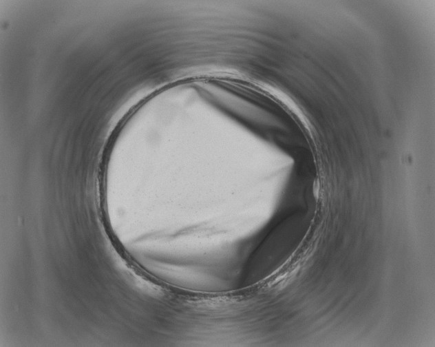 X0000079580999200612221426