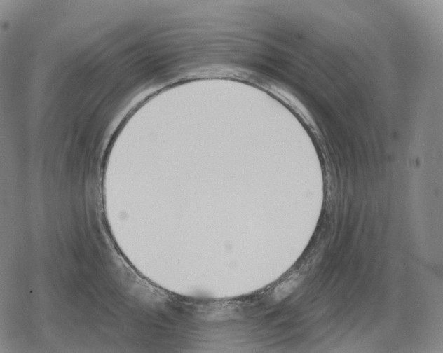 X0000079581000200612221426