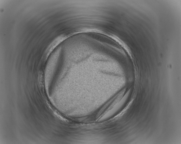 X0000079581001200612221426