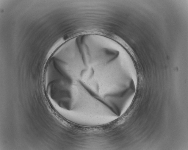 X0000079581002200612221426