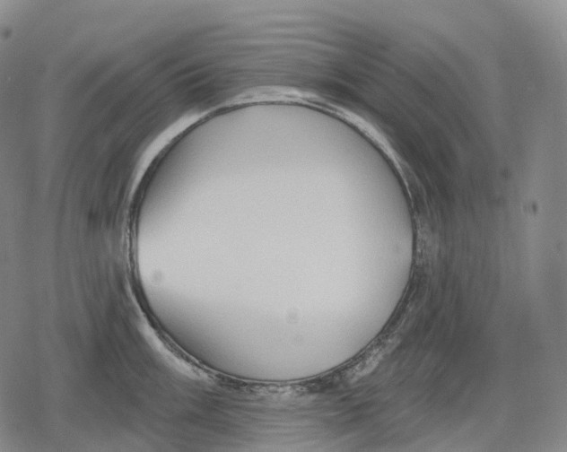 X0000079581003200612221426