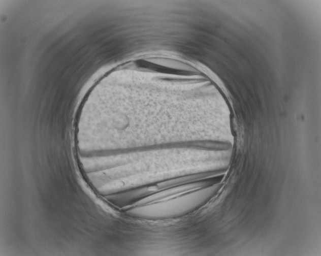 X0000079581005200612221426