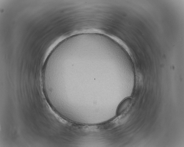 X0000079581006200612221426