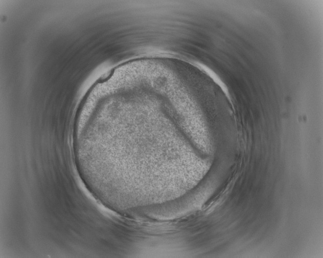 X0000079581007200612221426