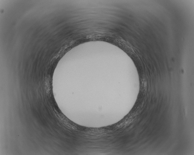 X0000079581012200612221425