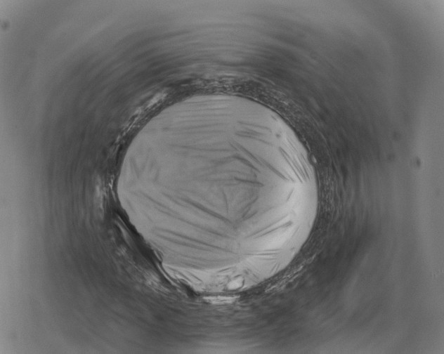 X0000079581013200612221425