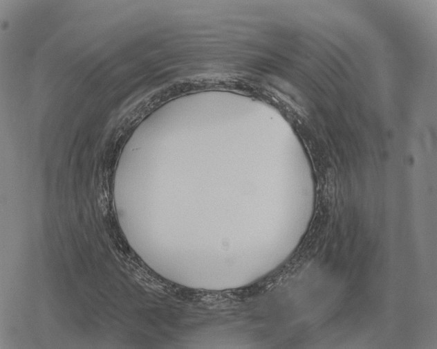 X0000079581015200612221425