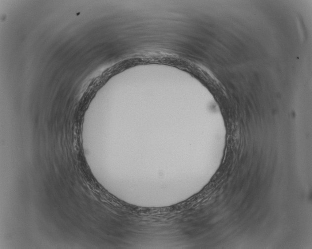 X0000079581016200612221425