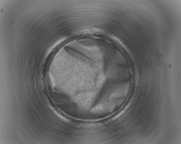 X0000079581018200612221425