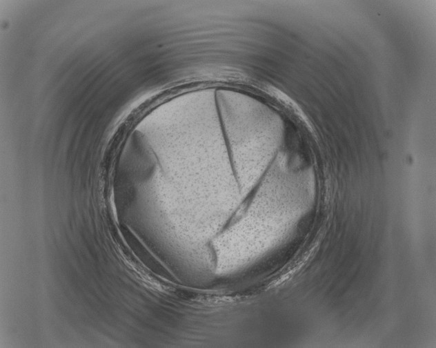 X0000079581019200612221425