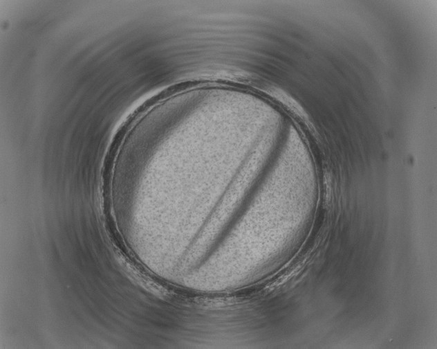 X0000079581020200612221425