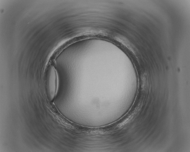 X0000079581021200612221425