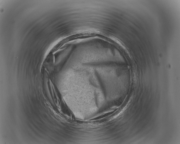 X0000079581022200612221425