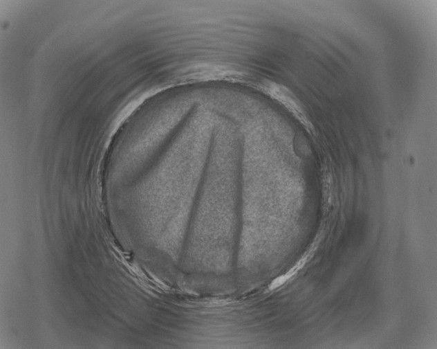 X0000079581023200612221425