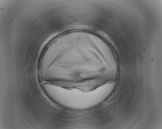 X0000079581024200612221425