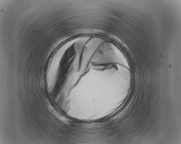 X0000079581025200612221425