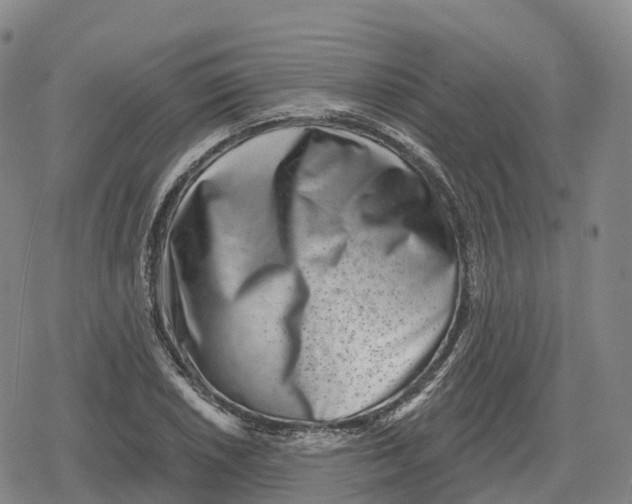 X0000079581026200612221425