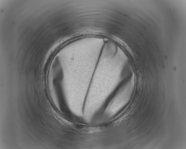 X0000079581027200612221425