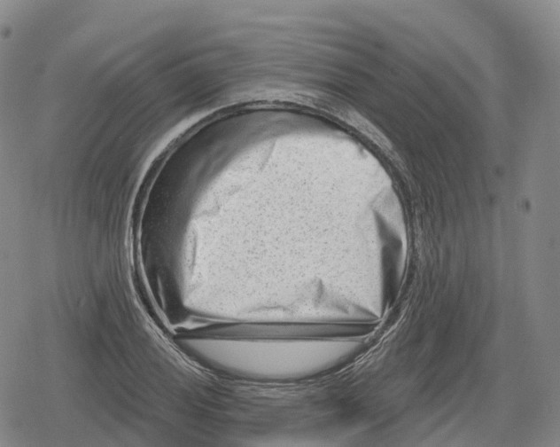 X0000079581028200612221425