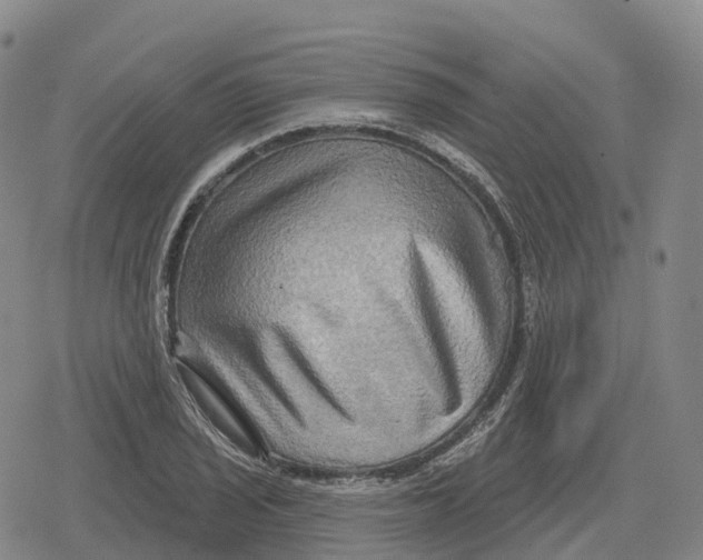 X0000079581029200612221425