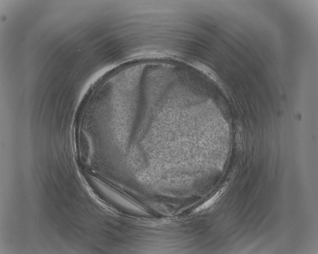 X0000079581030200612221425