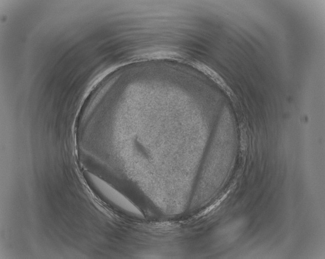 X0000079581031200612221425