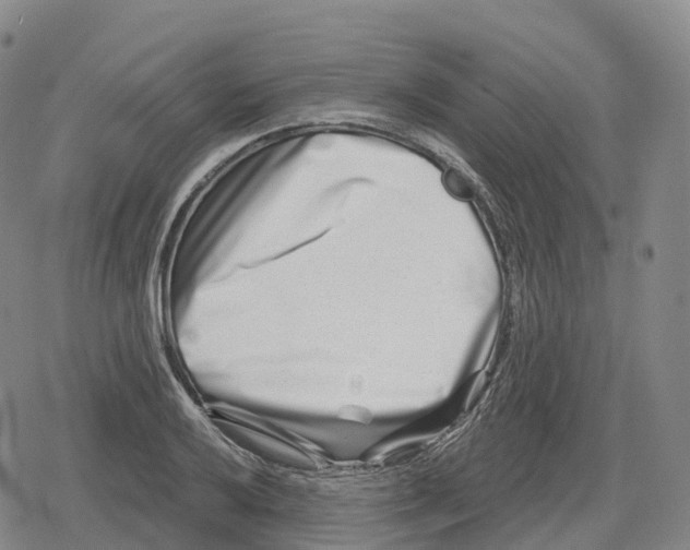 X0000079581032200612221425