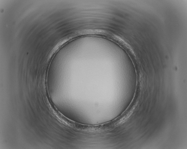 X0000079581033200612221425